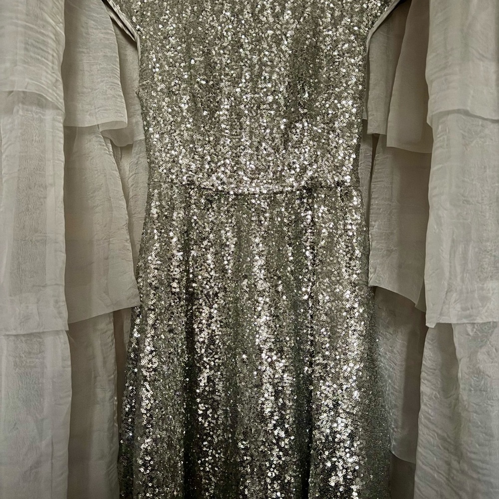 Stunning Silver Sequin Party Dress